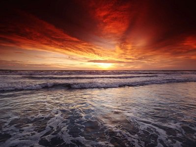 Things To Do Anna Maria Island Free.jpg